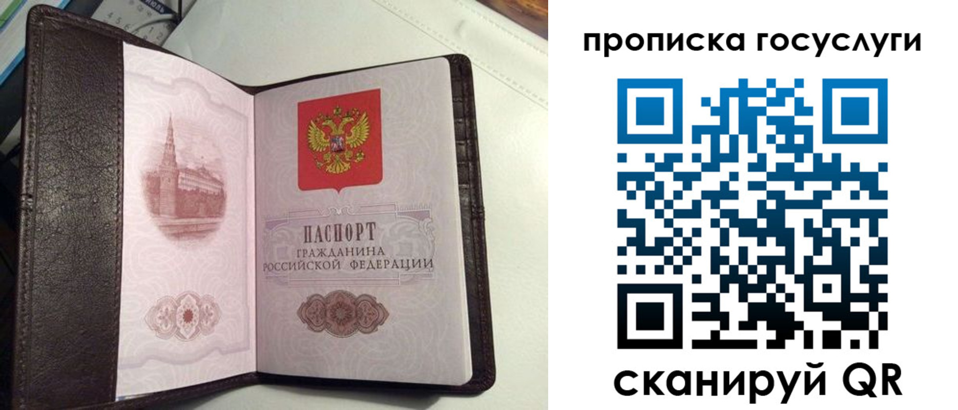 временная прописка в Камышлове